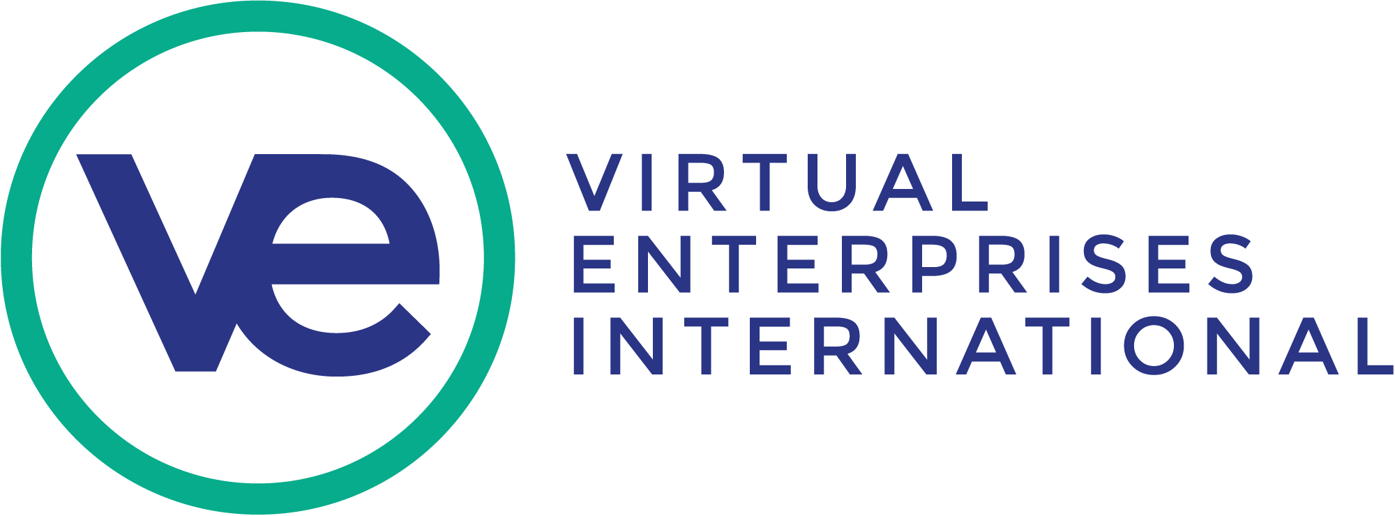 Nathan Misirian - VEI-logo